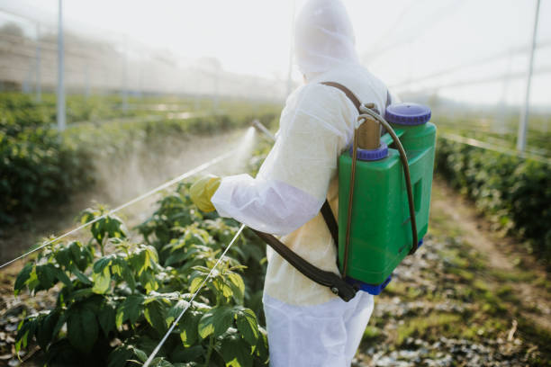 Wildlife Control Services in Black Creek, WI